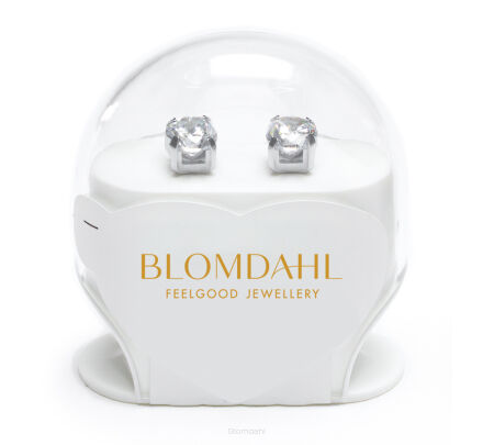 Hypoallergenic earrings