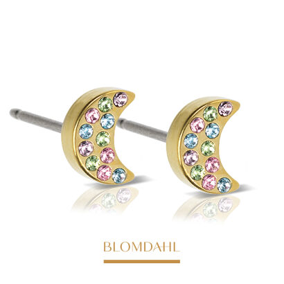 Hypoallergenic Earrings Brilliance Moon Light Fantasy 6 mm