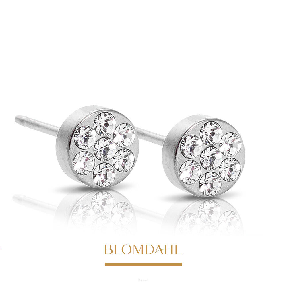 Hypoallergenic Earrings Brilliance Plenary Crystal 5 mm
