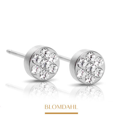 Hypoallergenic Earrings Brilliance Plenary Crystal 5 mm