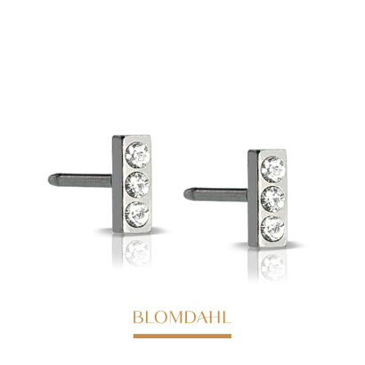 Hypoallergenic Earrings Petit Brilliance Straight Crystal 5 mm
