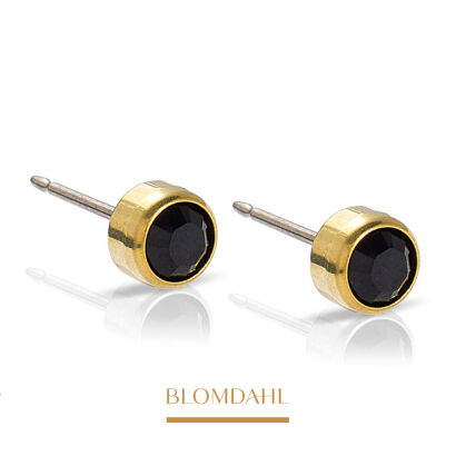Hypoallergenic Bezel Black 3 mm Earrings