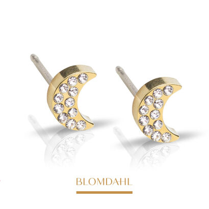 Hypoallergenic Brilliance Moon Crystal 6 mm Earrings
