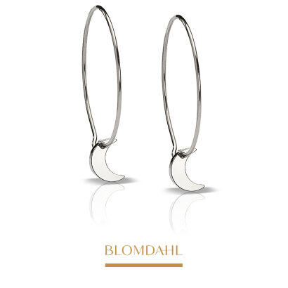 Hypoallergenic Earrings Ear Ring Pendant Moon 8 mm Ring 25 mm