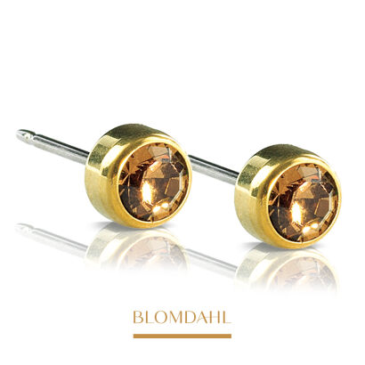 Hypoallergenic Bezel Bronze 5 mm Earrings