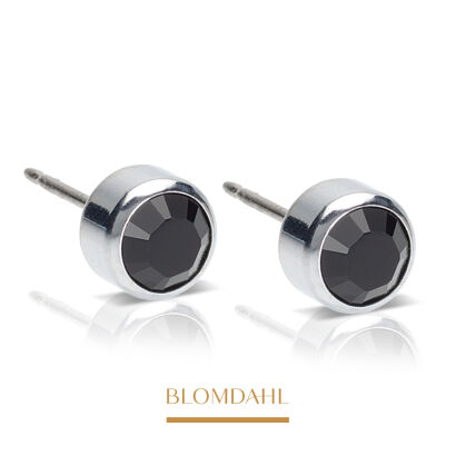 Hypoallergenic Bezel Black 4 mm Earrings