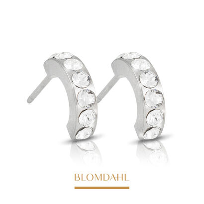 Hypoallergenic Earrings Pendant Brilliance Curved Crystal 10 mm
