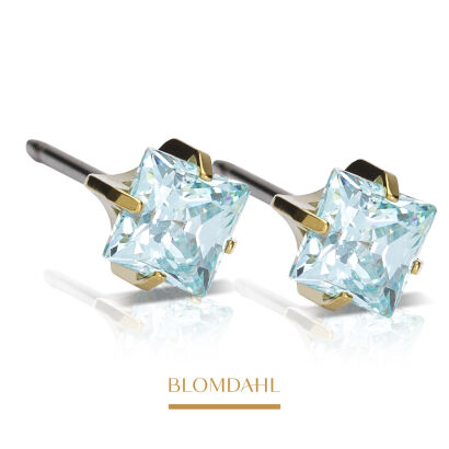 Hypoallergenic Tiffany Edge Aquamarine 5 mm Earrings