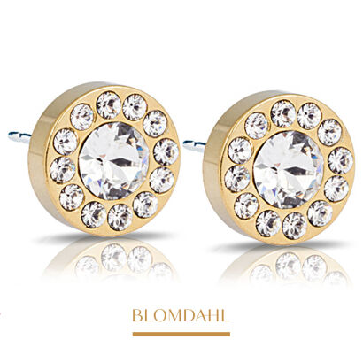Hypoallergenic Brilliance Halo Crystal 8 mm Earrings