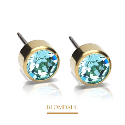 Hypoallergenic Bezel Turquoise 6 mm Earrings