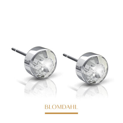 Hypoallergenic Bezel Crystal 4 mm Earrings