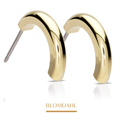 Hypoallergenic Earrings Pendant Round Curved 15 mm