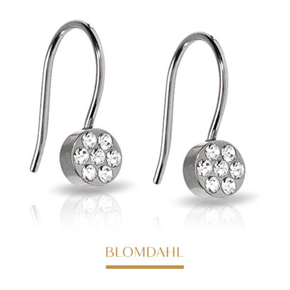 Hypoallergenic Earrings Pendant Brilliance Plenary Crystal 5 mm