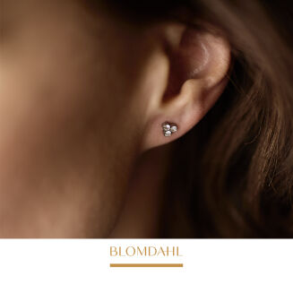 Kolczyki hipoalergiczne Clover Crystal 6 mm - 2