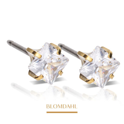 Hypoallergenic Tiffany Edge White 5 mm Earrings