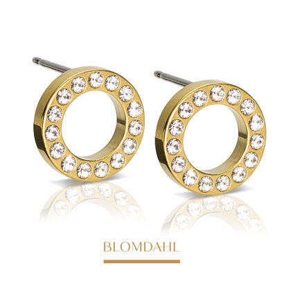Hypoallergenic Brilliance Puck Hollow Crystal 10 mm Earrings