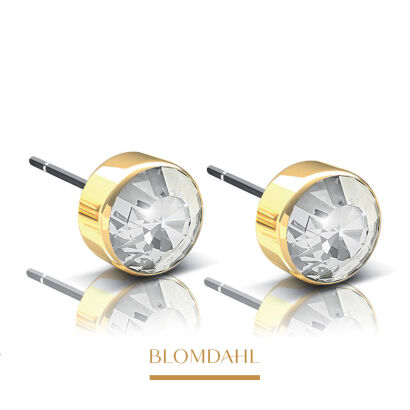 Hypoallergenic Bezel Crystal 5 mm Earrings