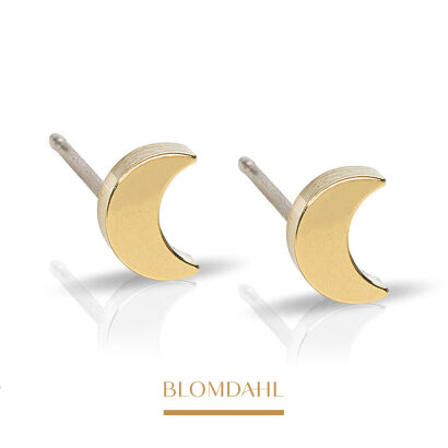 Hypoallergenic Moon 6 mm Earrings