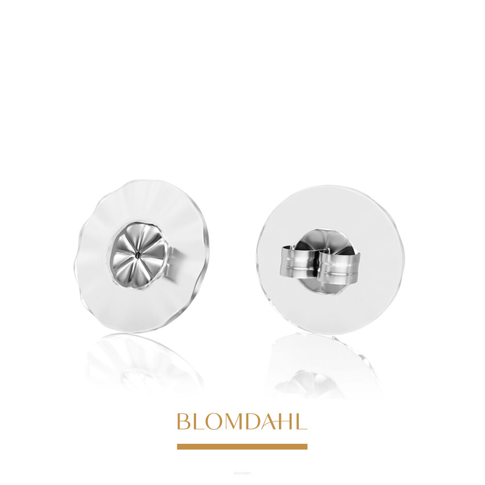 Large Titanium Earring Plugs (1 pair)
