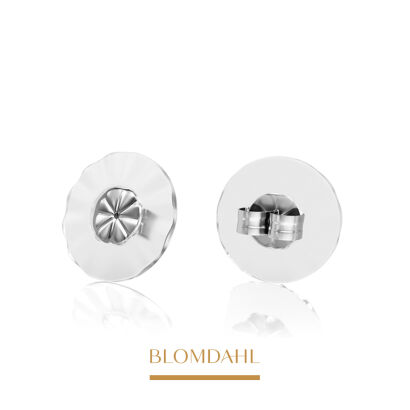 Large Titanium Earring Plugs (1 pair)
