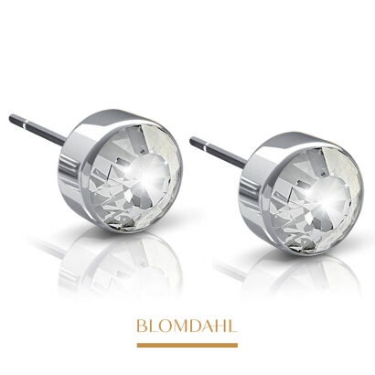 Hypoallergenic Bezel Crystal 6 mm Earrings