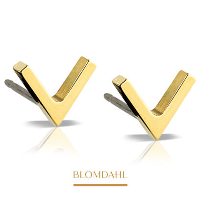 Hypoallergenic Plain V 8 mm Earrings