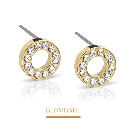 Hypoallergenic Brilliance Puck Hollow Crystal 8 mm Earrings