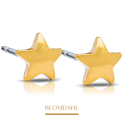 Hypoallergenic Star 8mm Earrings