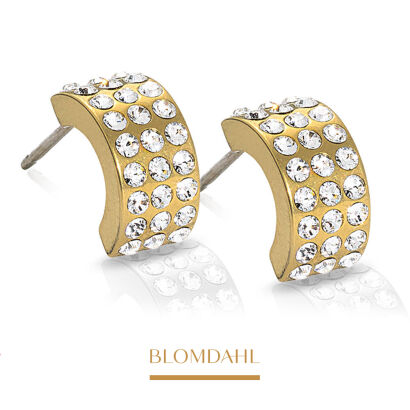 Hypoallergenic Earrings Grand Brilliance Curved Crystal 10 mm