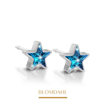 Hypoallergenic Star Aquamarine 6 mm Earrings