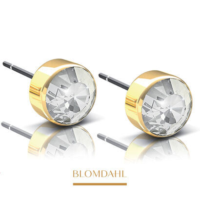 Hypoallergenic Bezel Crystal 6 mm Earrings